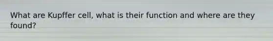 What are Kupffer cell, what is their function and where are they found?