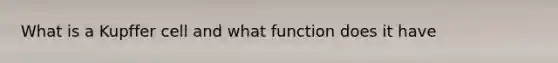 What is a Kupffer cell and what function does it have