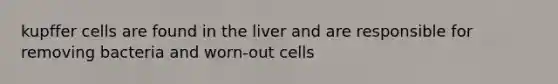 kupffer cells are found in the liver and are responsible for removing bacteria and worn-out cells