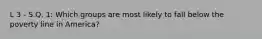 L 3 - S.Q. 1: Which groups are most likely to fall below the poverty line in America?