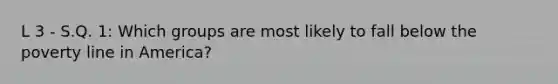 L 3 - S.Q. 1: Which groups are most likely to fall below the poverty line in America?