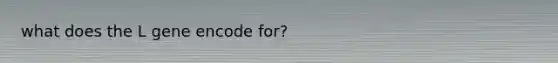 what does the L gene encode for?