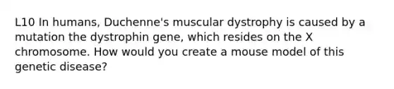 L10 In humans, Duchenne's muscular dystrophy is caused by a mutation the dystrophin gene, which resides on the X chromosome. How would you create a mouse model of this genetic disease?