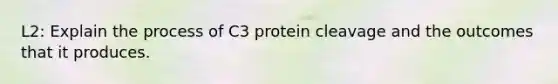 L2: Explain the process of C3 protein cleavage and the outcomes that it produces.