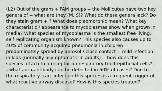 (L2) Out of the gram + FAM groups -- the Mollicutes have two key genera of -- what are they (M, S)? What do these genera lack? Do they stain gram + ? What does pleomorphic mean? What key characteristic / appearance to mycoplasmas show when grown in media? What species of mycoplasma is the smallest free-living, self-replicating organism known? This species also causes up to 40% of community-acquired pneumonia in children -- predominately spread by aerosol / close contact -- mild infection in kids (normally asymptomatic in adults) -- how does this species attach to a receptor on respiratory tract epithelial cells? -- what auto-antibody can be detected in 50% of cases? Due to the respiratory tract infection this species is a frequent trigger of what reactive airway disease? How is this species treated?