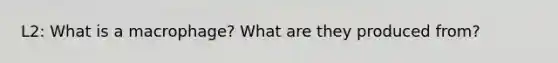 L2: What is a macrophage? What are they produced from?