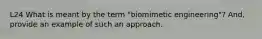 L24 What is meant by the term "biomimetic engineering"? And, provide an example of such an approach.