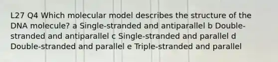 L27 Q4 Which molecular model describes the structure of the DNA molecule? a Single-stranded and antiparallel b Double-stranded and antiparallel c Single-stranded and parallel d Double-stranded and parallel e Triple-stranded and parallel