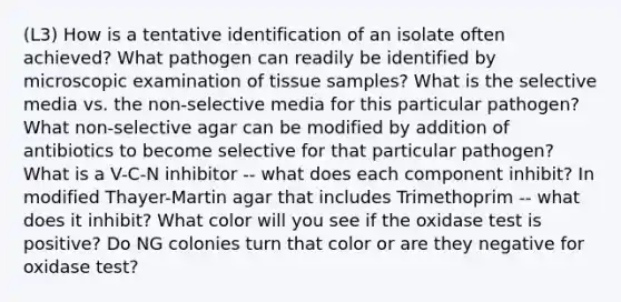 (L3) How is a tentative identification of an isolate often achieved? What pathogen can readily be identified by microscopic examination of tissue samples? What is the selective media vs. the non-selective media for this particular pathogen? What non-selective agar can be modified by addition of antibiotics to become selective for that particular pathogen? What is a V-C-N inhibitor -- what does each component inhibit? In modified Thayer-Martin agar that includes Trimethoprim -- what does it inhibit? What color will you see if the oxidase test is positive? Do NG colonies turn that color or are they negative for oxidase test?