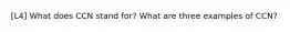 [L4] What does CCN stand for? What are three examples of CCN?