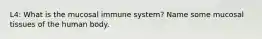 L4: What is the mucosal immune system? Name some mucosal tissues of the human body.