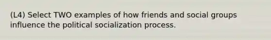 (L4) Select TWO examples of how friends and social groups influence the political socialization process.