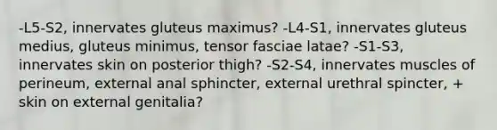 -L5-S2, innervates gluteus maximus? -L4-S1, innervates gluteus medius, gluteus minimus, tensor fasciae latae? -S1-S3, innervates skin on posterior thigh? -S2-S4, innervates muscles of perineum, external anal sphincter, external urethral spincter, + skin on external genitalia?