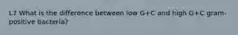 L7 What is the difference between low G+C and high G+C gram-positive bacteria?