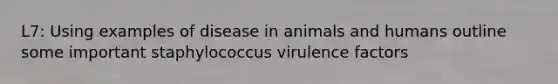 L7: Using examples of disease in animals and humans outline some important staphylococcus virulence factors