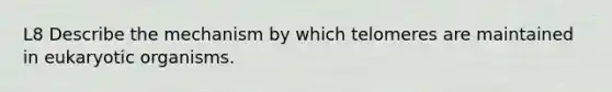 L8 Describe the mechanism by which telomeres are maintained in eukaryotic organisms.