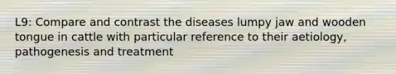 L9: Compare and contrast the diseases lumpy jaw and wooden tongue in cattle with particular reference to their aetiology, pathogenesis and treatment