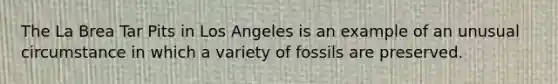 The La Brea Tar Pits in Los Angeles is an example of an unusual circumstance in which a variety of fossils are preserved.