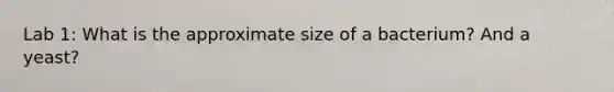 Lab 1: What is the approximate size of a bacterium? And a yeast?
