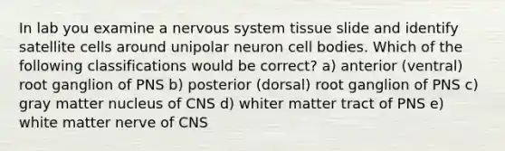 In lab you examine a nervous system tissue slide and identify satellite cells around unipolar neuron cell bodies. Which of the following classifications would be correct? a) anterior (ventral) root ganglion of PNS b) posterior (dorsal) root ganglion of PNS c) gray matter nucleus of CNS d) whiter matter tract of PNS e) white matter nerve of CNS