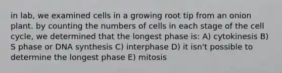 in lab, we examined cells in a growing root tip from an onion plant. by counting the numbers of cells in each stage of the cell cycle, we determined that the longest phase is: A) cytokinesis B) S phase or DNA synthesis C) interphase D) it isn't possible to determine the longest phase E) mitosis