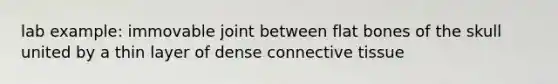 lab example: immovable joint between flat bones of the skull united by a thin layer of dense connective tissue