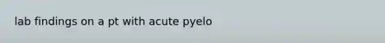 lab findings on a pt with acute pyelo