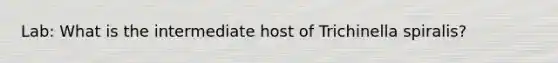 Lab: What is the intermediate host of Trichinella spiralis?