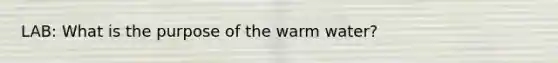 LAB: What is the purpose of the warm water?