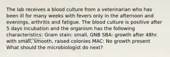 The lab receives a blood culture from a veterinarian who has been ill for many weeks with fevers only in the afternoon and evenings, arthritis and fatigue. The blood culture is positive after 5 days incubation and the organism has the following characteristics: Gram stain: small, GNB SBA: growth after 48hr. with small, smooth, raised colonies MAC: No growth present What should the microbiologist do next?