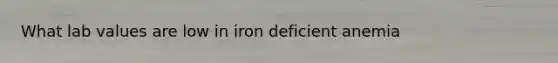 What lab values are low in iron deficient anemia