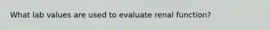 What lab values are used to evaluate renal function?