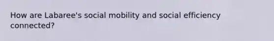 How are Labaree's social mobility and social efficiency connected?