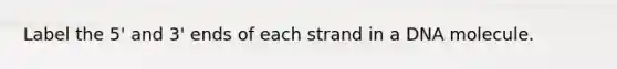 Label the 5' and 3' ends of each strand in a DNA molecule.