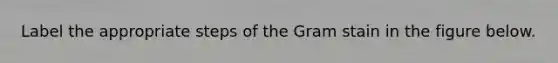 Label the appropriate steps of the Gram stain in the figure below.