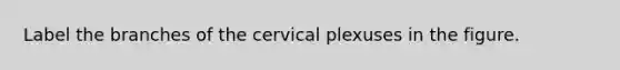 Label the branches of the cervical plexuses in the figure.