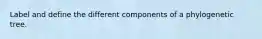 Label and define the different components of a phylogenetic tree.