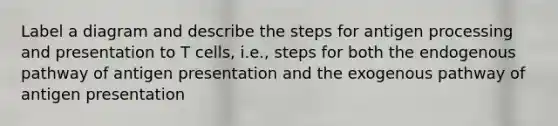 Label a diagram and describe the steps for antigen processing and presentation to T cells, i.e., steps for both the endogenous pathway of antigen presentation and the exogenous pathway of antigen presentation