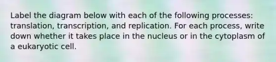 Label the diagram below with each of the following processes: translation, transcription, and replication. For each process, write down whether it takes place in the nucleus or in the cytoplasm of a eukaryotic cell.