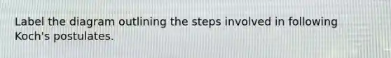 Label the diagram outlining the steps involved in following Koch's postulates.