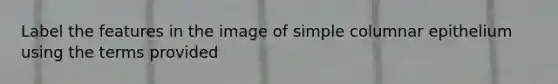 Label the features in the image of simple columnar epithelium using the terms provided