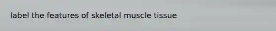 label the features of skeletal <a href='https://www.questionai.com/knowledge/kMDq0yZc0j-muscle-tissue' class='anchor-knowledge'>muscle tissue</a>