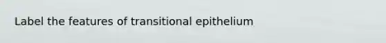 Label the features of transitional epithelium