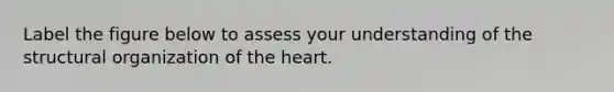 Label the figure below to assess your understanding of the structural organization of the heart.