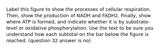 Label this figure to show the processes of cellular respiration. Then, show the production of NADH and FADH2. Finally, show where ATP is formed, and indicate whether it is by substrate- level or oxidative phosphorylation. Use the text to be sure you understand how each subtotal on the bar below the figure is reached. (question 32 answer is no)