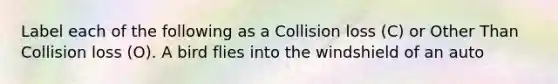 Label each of the following as a Collision loss (C) or Other Than Collision loss (O). A bird flies into the windshield of an auto