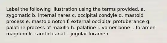 Label the following illustration using the terms provided. a. zygomatic b. internal nares c. occipital condyle d. mastoid process e. mastoid notch f. external occipital protuberance g. palatine process of maxilla h. palatine i. vomer bone j. foramen magnum k. carotid canal l. jugular foramen