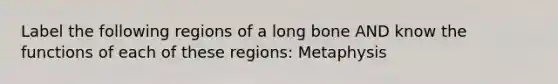 Label the following regions of a long bone AND know the functions of each of these regions: Metaphysis