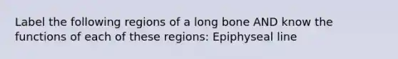 Label the following regions of a long bone AND know the functions of each of these regions: Epiphyseal line