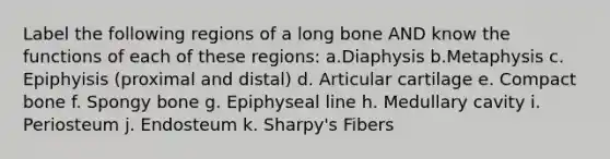 Label the following regions of a long bone AND know the functions of each of these regions: a.Diaphysis b.Metaphysis c. Epiphyisis (proximal and distal) d. Articular cartilage e. Compact bone f. Spongy bone g. Epiphyseal line h. Medullary cavity i. Periosteum j. Endosteum k. Sharpy's Fibers